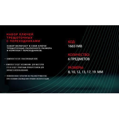 HANS. Набор ключей трещоточных с переходниками 8-19 мм,6 пр., пласт. кейс (16651MB) (16651МВ) 16651МВ фото