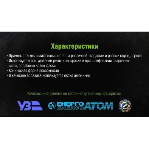 Alloid. Круг пелюстковий торцевий 125 мм, зерно 100 (FD-125100) FD-125100 фото